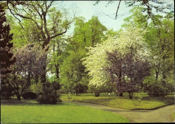 Postcard Berlin Treptow Baumschulenweg, Arboretum Späthstraße, Museum of Natural History, Humboldt University