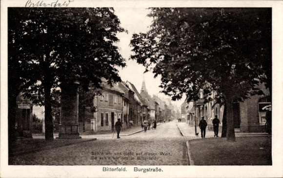 Postcard Bitterfeld in Saxony-Anhalt, street in Burgstraße, people on the sidewalk, trees