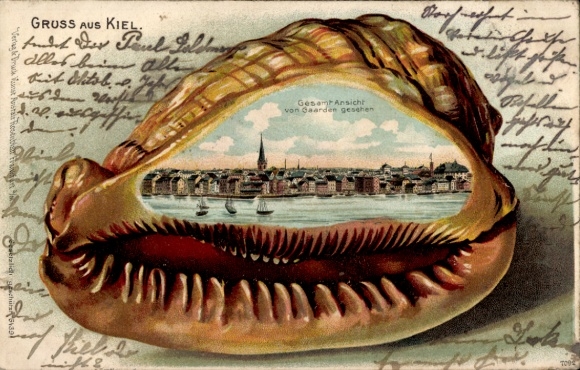 Präge Muschel Litho Kiel, Gesamtansicht