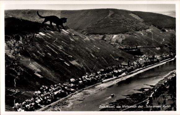 Ansichtkaart Zell an der Mosel, luchtfoto, Zwarte Kat