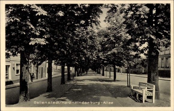 Ak Ballenstedt im Harz,  Hindenburg-Allee, Baumallee, Gehweg, Parkbank