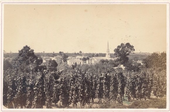 Cabinet photo Bordeaux Gironde, winery, panorama from the place