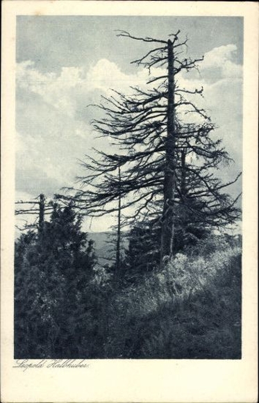 9 old artist PC photographs, various motives