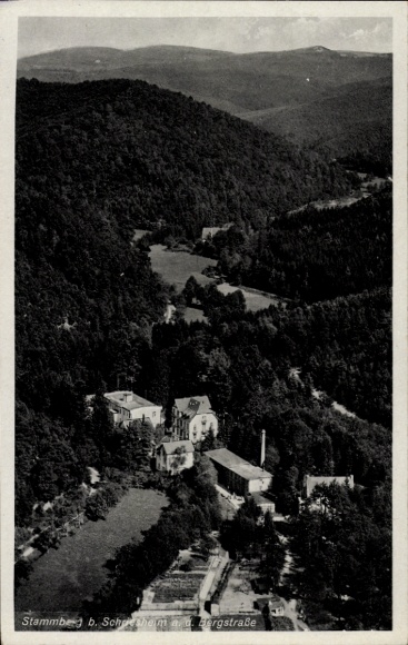 Ak Stammberg Schriesheim an der Bergstraße, Luftaufnahme von Stammberg, Waldlandschaft, Gebäude s