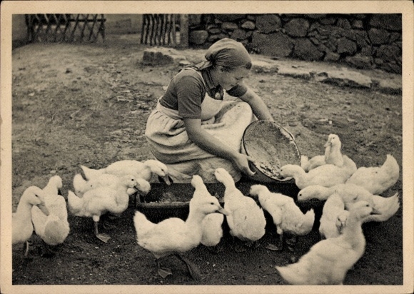 Ak Hans Retzlaff, Reichsarbeitsdienst f.d. weibl. Jugend, Arbeitsmaid auf einem Bauernhof, Enten