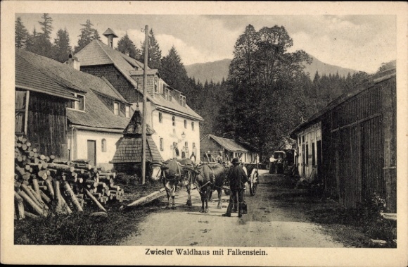 Ak Zwieslerwaldhaus Zwieseler Waldhaus Lindberg im Bayerischen Wald, Falkenstein, Rinderfuhrwerk
