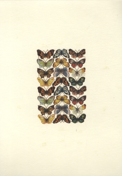 Oblate kompletter Block, Schmetterlinge, Falter, Größe ca. 12,5 x 8 cm