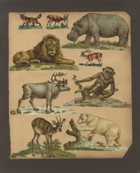 9 Oblaten Wildtiere, Nilpferd, Affe, Eisbär, Fuchs, Löwe u.a. , ca. 8 x 14 cm bis 3,5 x 5 cm
