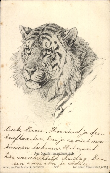 Chromo-Litho Tiger, Painted Animal Portrait, Spechts Zodiac School