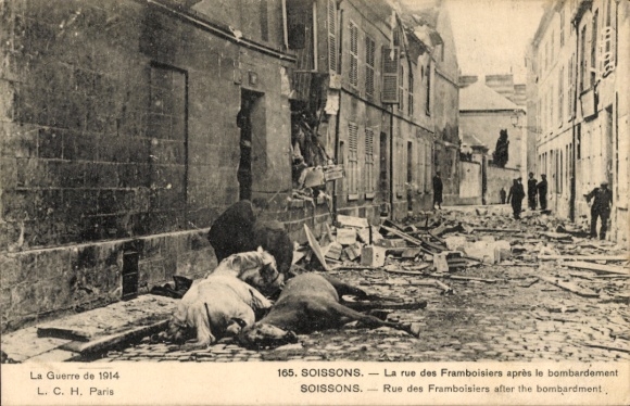 Postcard Soissons Aisne, Rue des Framboisiers after the bombing, horse carcasses, destruction, I.W.