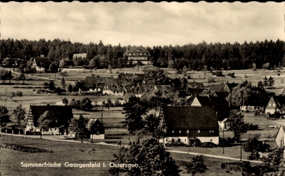 Ak Zinnwald Georgenfeld Altenberg im Erzgebirge, Panorama