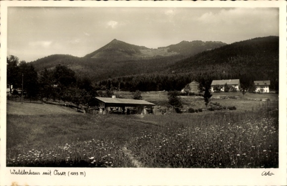 Ak Lam im Bayerischen Wald Oberpfalz, Osser, Waldlerhaus