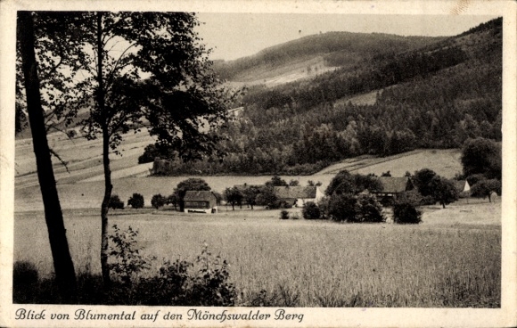 Ak Wilthen in der Oberlausitz, Blick von Blumental auf den Mönchswalder Berg