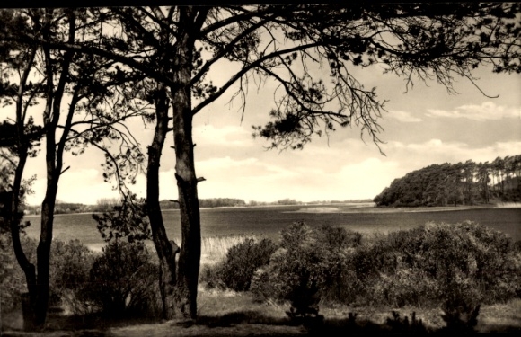 Postcard Ferchesar in Havelland, Ferchesarer See