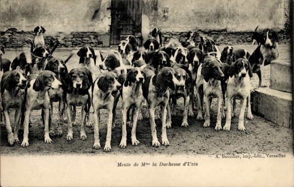 CPA Yvelines, Meute de Mme la Duchesse d'Uzès
