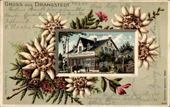 Embossed Edelweiss Passepartout Chromo-Litho Drangstedt Geestland, Restaurant Villa Waldheim