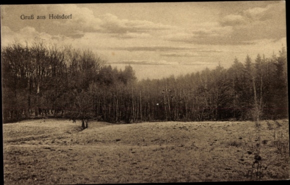 Postcard Hoisdorf in Schleswig-Holstein, forest picture