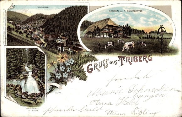 Chromo-Litho Triberg in the Black Forest, general view, waterfall, Black Forest farmhouse, cows