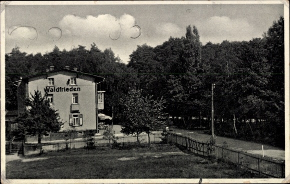 Ak Bad Lausick in Sachsen, Hotel Waldfrieden, Wald, Straße, 