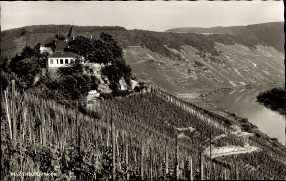 Ak Zell an der Mosel, Marienburg, wijngaarden