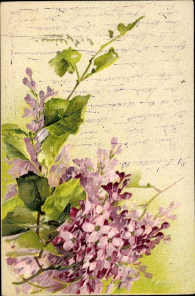 Artist Chromo-Litho Klein, C., Blooming Flowers