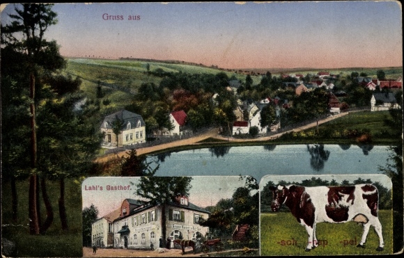 Postcard Kuhschnappel Sankt Egidien in Sachsen, Lahls Gasthof, Panorama, Kuh