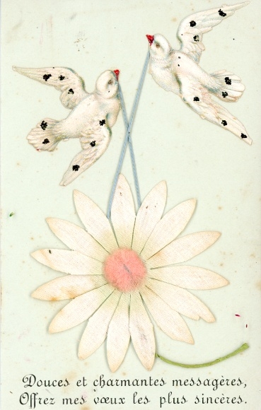 Material Ak Tauben, Weiße Blume