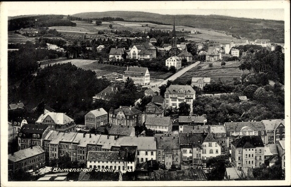 Ak Sebnitz Sächsische Schweiz, Landschaftsaufnahme, historische Gebäude, Kirchen, Straßen, län...