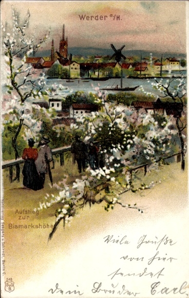 Ak Werder an der Havel, Blick auf Werder, Bismarckhöhe, blühende Bäume, Stadtansicht, Windmühle