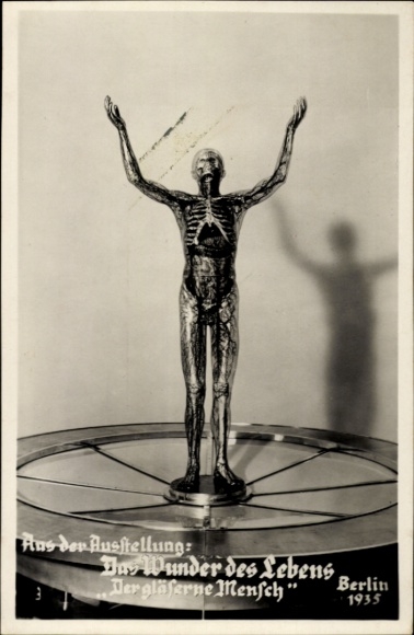 Ak Ausstellung Das Wunder des Lebens, Berlin 1935, Der gläserne Mensch