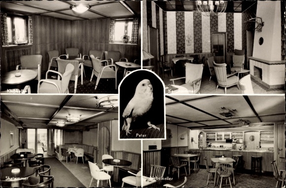 Postcard Vlotho on the Weser, Seebruch restaurant, club cellar, budgerigar Peter, skat room