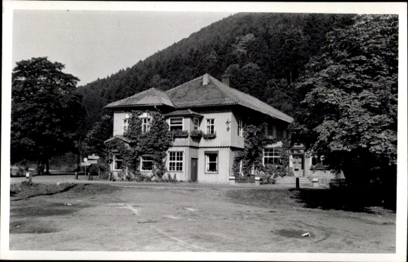 Ak Netzkater Ilfeld am Harz Thüringen, Café