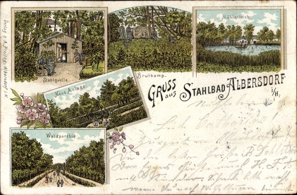 litho Albersdorf in Dithmarschen, molenvijver, bosgebied, staalveer, Brutkamp