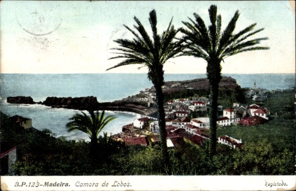 KP Câmara de Lobos Island Madera Portugalia, widok panoramiczny, wybrzeże, palmy, budynki nadbrzeżne
