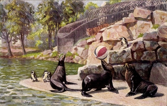 Artist Postcard Dresden, Zoological Garden, Sea Lions, African Penguins, Siberian Tiger