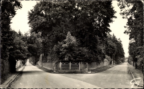 Ak Morsang sur Orge, Parc de Beausejour, Avenue Marthe