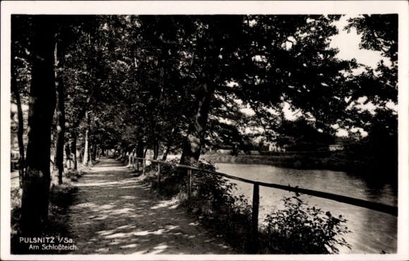 Postcard Pulsnitz Saxony, part of the castle pond