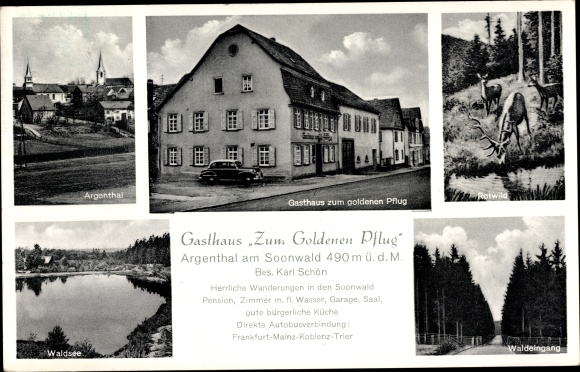 Postcard Argenthal im Hunsrück, Argenthal, deer, forest lake, forest entrance, inn Zum Goldenen Pflug