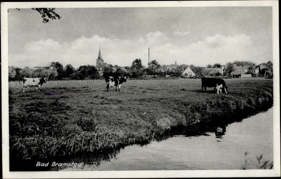 Ak Bad Bramstedt in Holstein, Teilansicht