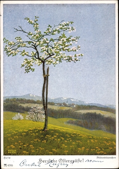 Artist PC Hely Prien, W., congratulations Easter, little blossom trees