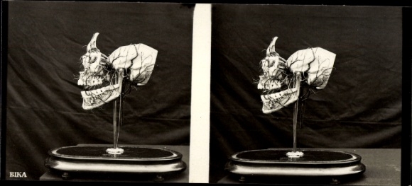 Stereo photo model of a human head, skull, BIKA