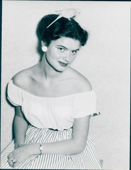Photo portrait of a woman with a budgerigar on her head