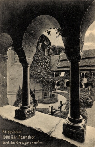 Postcard Hildesheim in Lower Saxony, 1000 Years of Rosebush, Cloister, View