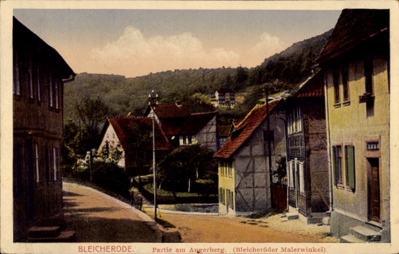 Ak Bleicherode am Harz, Blick auf  Häuser, Berglandschaft, 