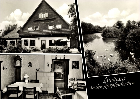 Ak Holm in Holstein, Landhaus an den Karpfenteichen, Teichblick