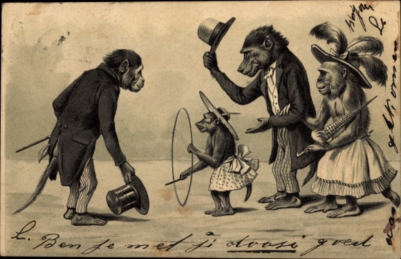 Chromo-Litho Humanized monkeys, suit, dress, hoops, hats