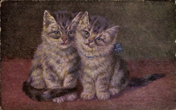 Kunstenaar Ak Stocks, twee katten