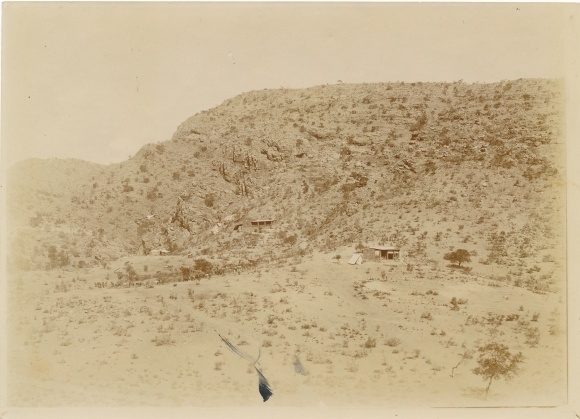 Photo of DSW Africa Namibia, ca 1900 - 1904, Viehherde, Farm