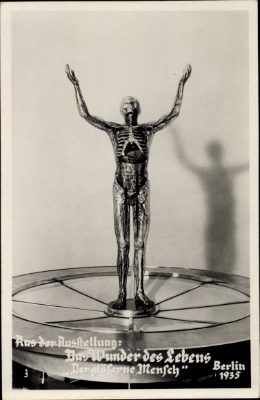 Postcard Exhibition The Miracle of Life, Berlin 1935, The Glass Man