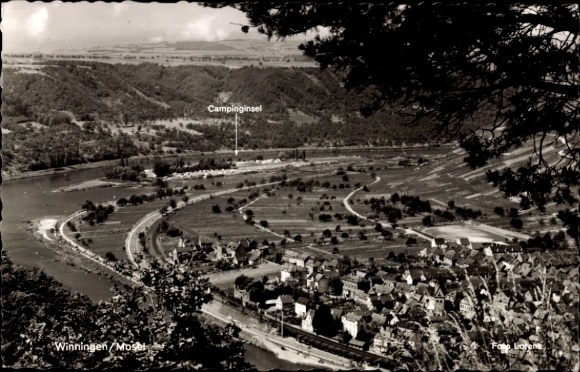 Postcard Winningen on the Moselle, general view, camping island